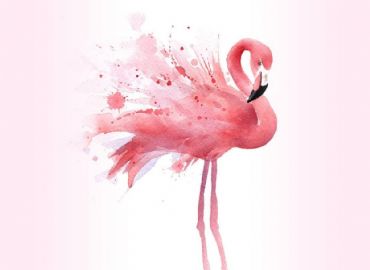 Flamingo Party, DJ set con Don Franco
